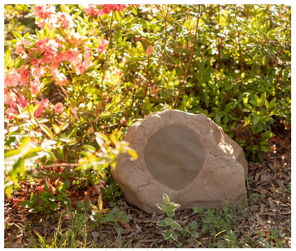 Episode ES-ROCK-DVC-8-SAN – Image 14
