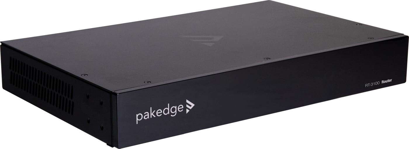 Pakedge RT-3100 – Image 4