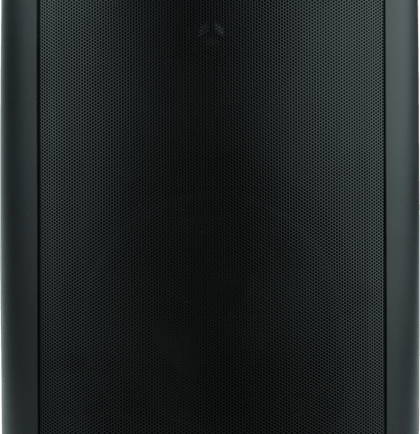 Triad Speakers Outdoor OD26 (Black) (Pair)
