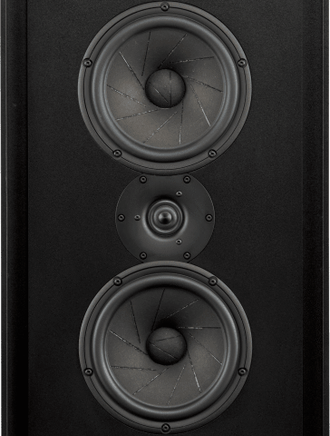 Triad Speakers InWall Gold/6 Monitor