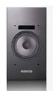 Ascendo THE6 PRO PASSIVE On Wall