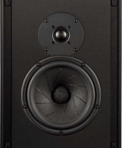 Triad Speakers InWall Gold/6 MiniMonitor